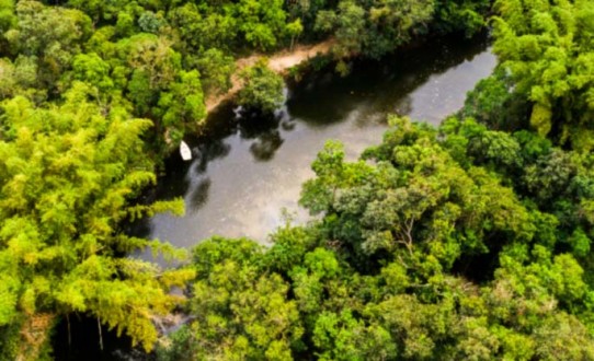 Croisière en Amazonie Péruvienne