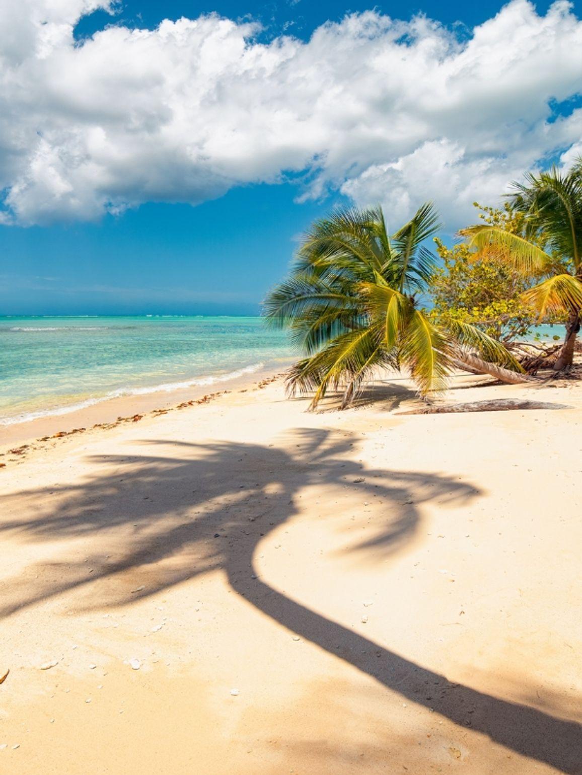 Noël au rythme des Caraïbes