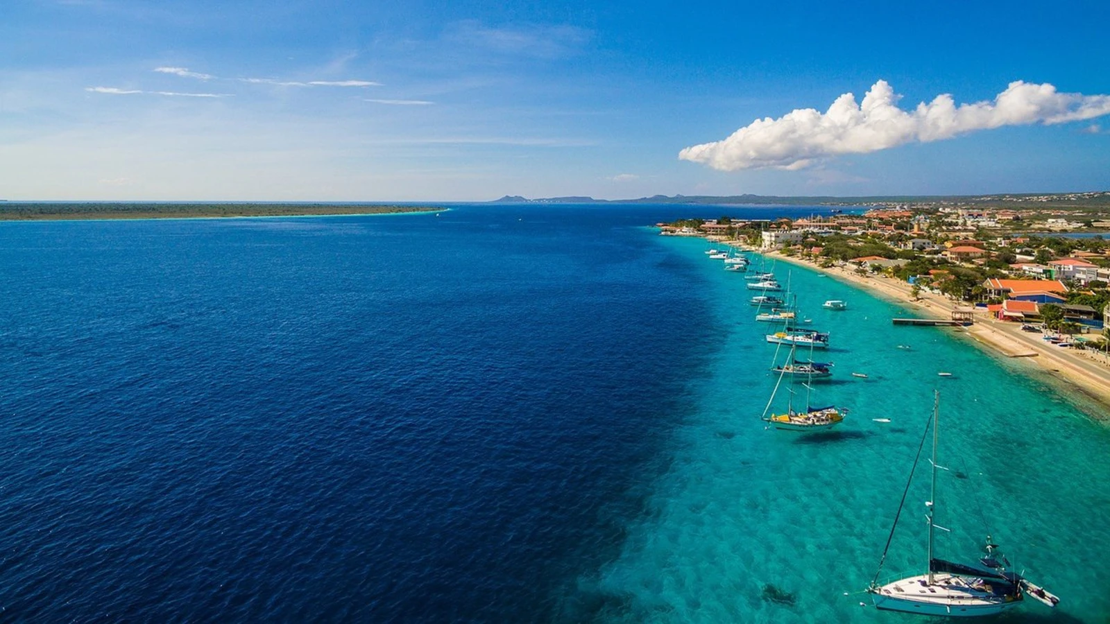 Traditions des Caraïbes 2028