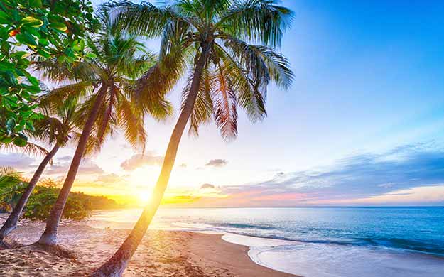 Croisière Guadeloupe et Dominique