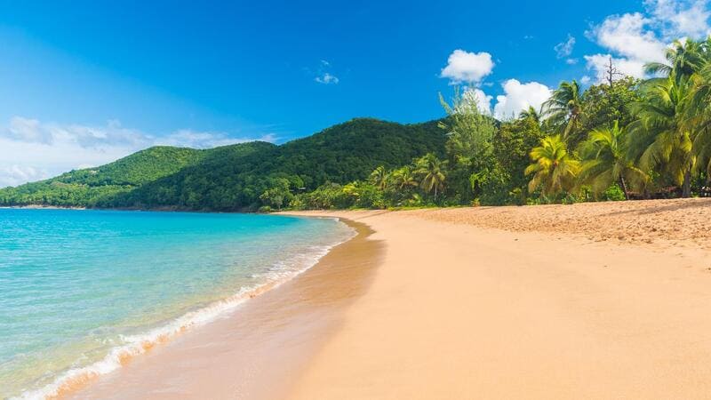 Les Petites Antilles