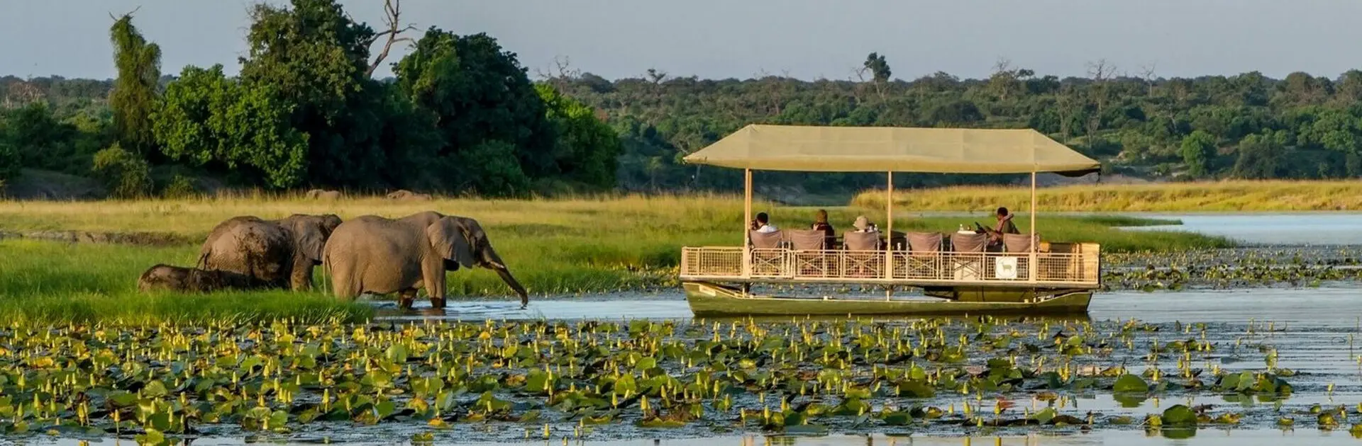 Safari-croisière au fil du Zambèze - Afrique du Sud, Botswana, Namibie, Zimbabwe