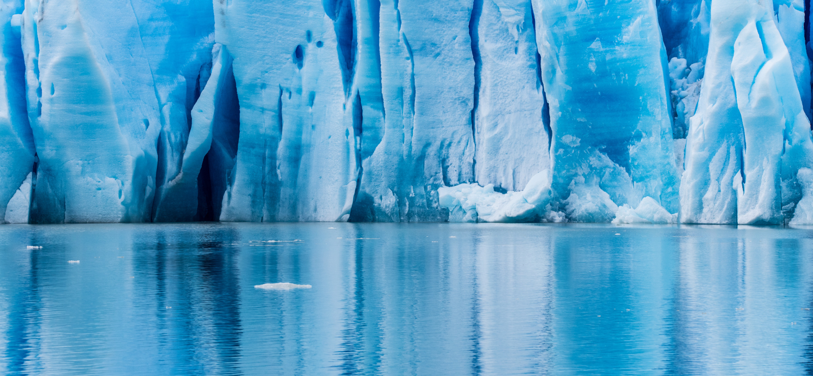 A la découverte du continent blanc