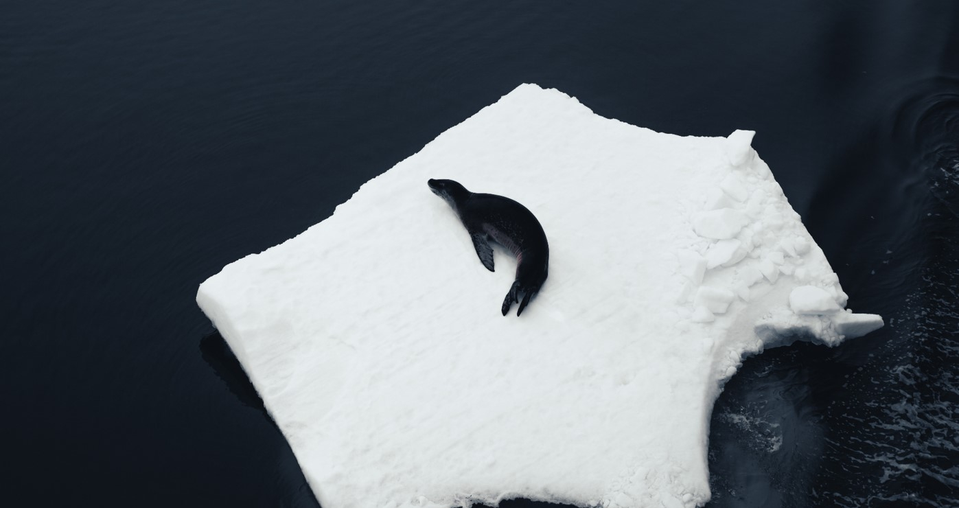 Expédition ultime : l'Antarctique & le Cap Horn