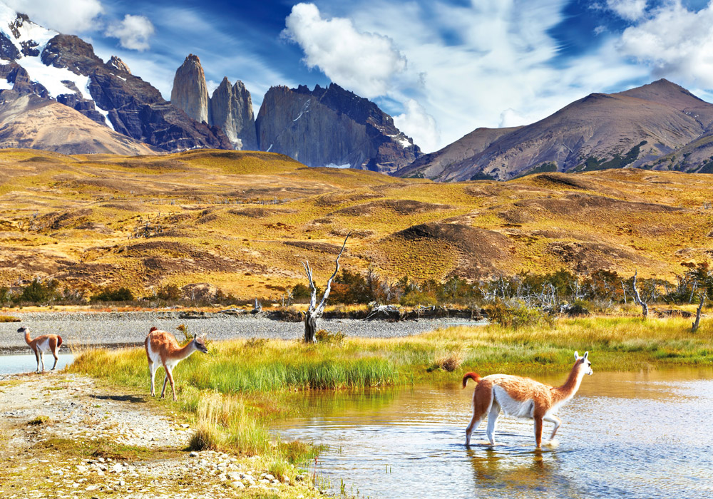 De la Patagonie à la Terre de Feu