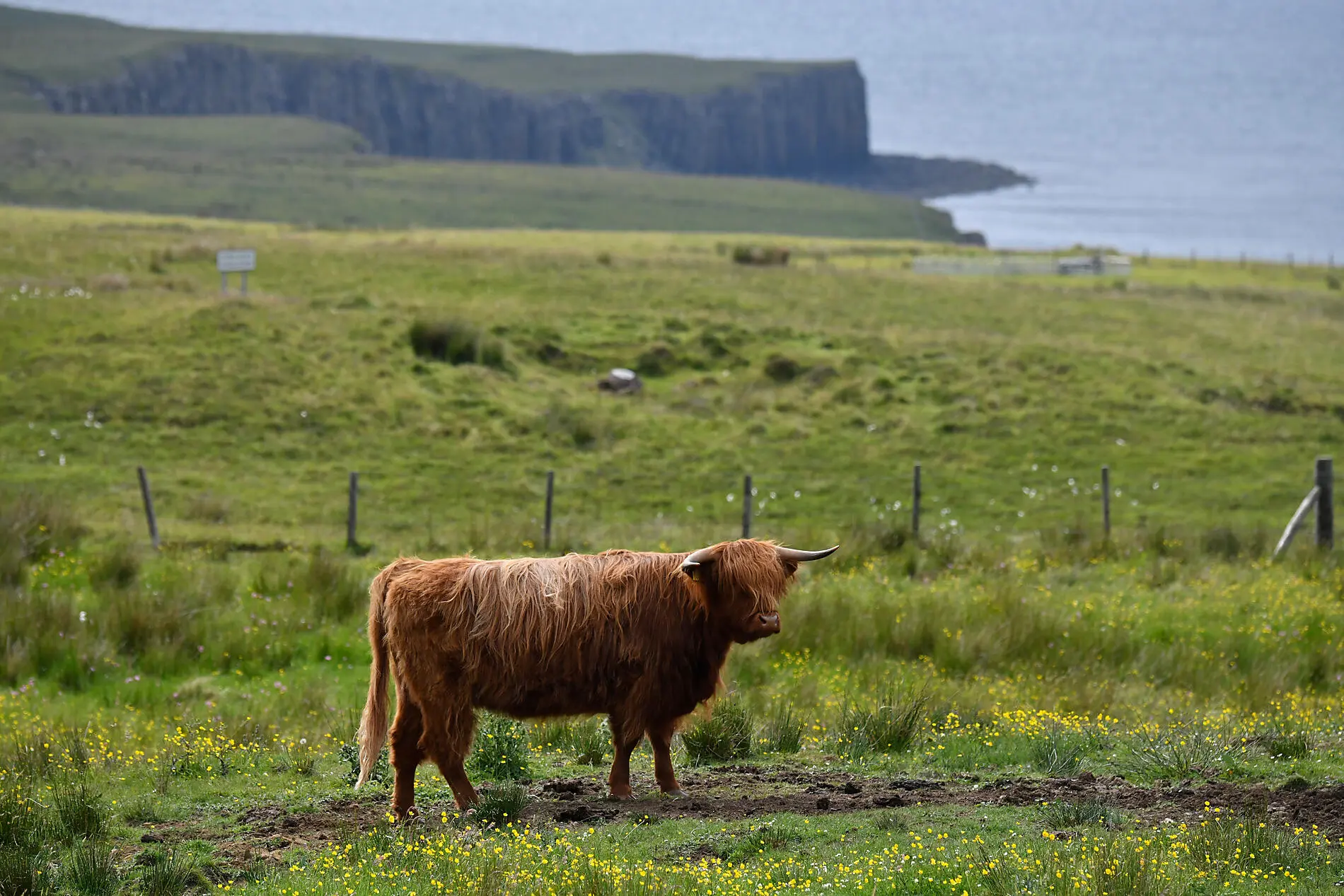Îles écossaises et fjords norvégiens