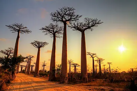 Afrique du Sud et Madagascar