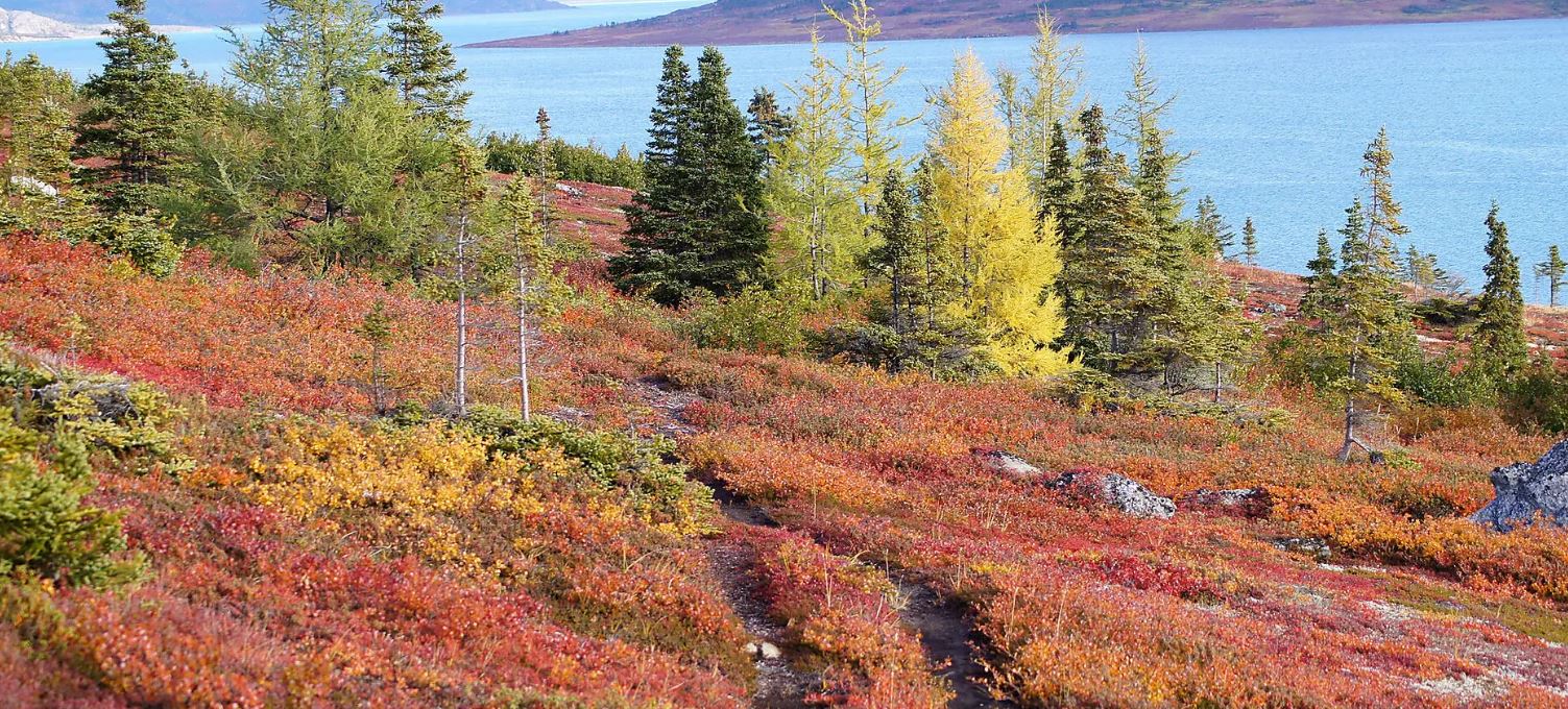 Des côtes sauvages du Groenland à la côte est du Canada 18jours