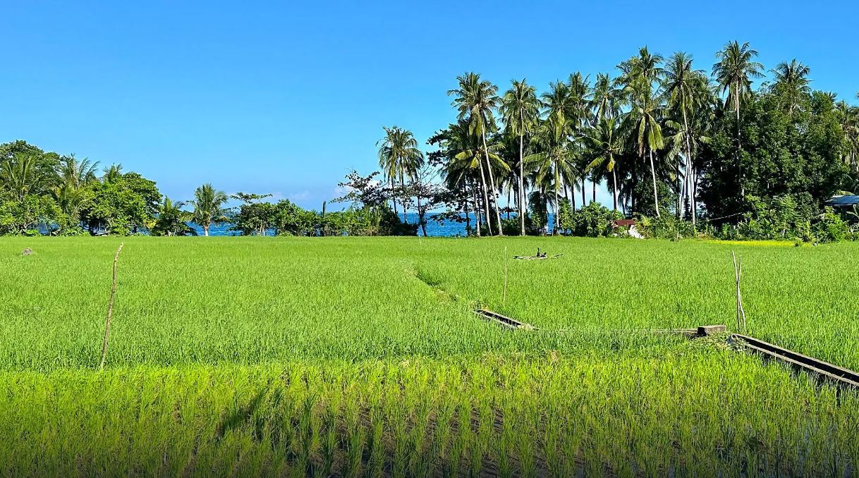 Entre îles sauvages et horizons philippins