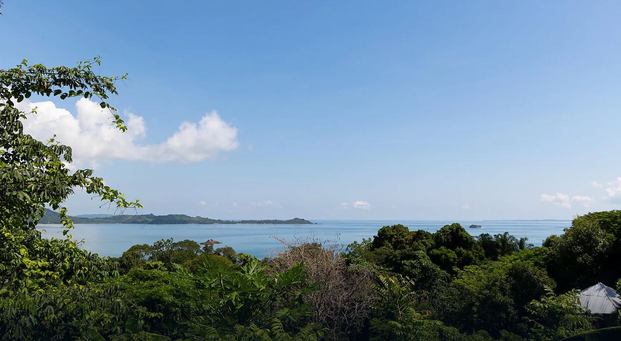 Joyaux de Madagascar