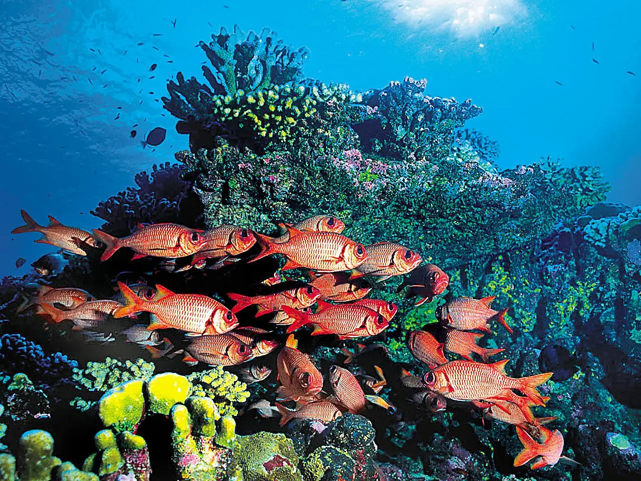 Marquises, Tuamotu et îles de la Société - 11 nuits