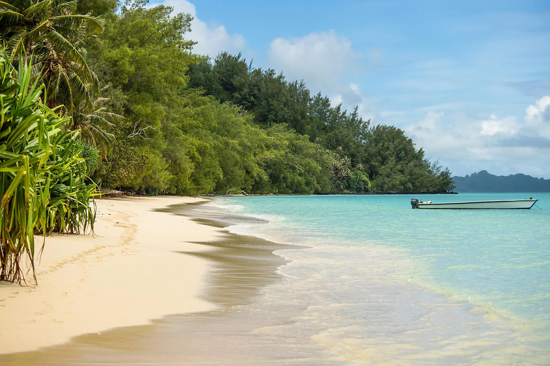 Polynésie française confidentielle et île Pitcairn