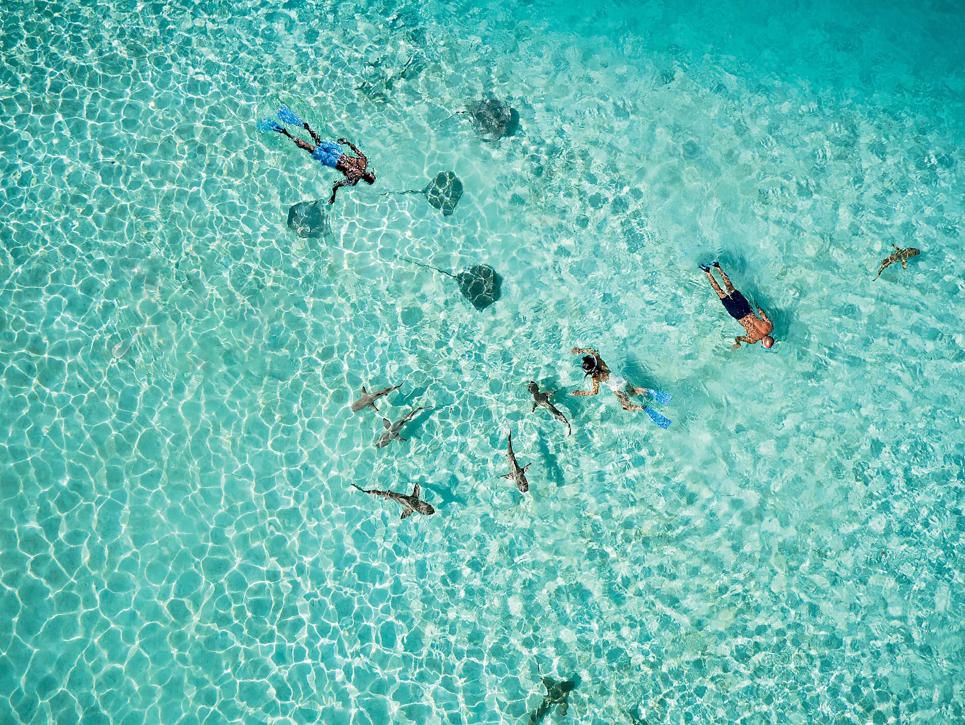 Polynésie secrète : Tuamotu inédites, îles Gambier et îles Australes