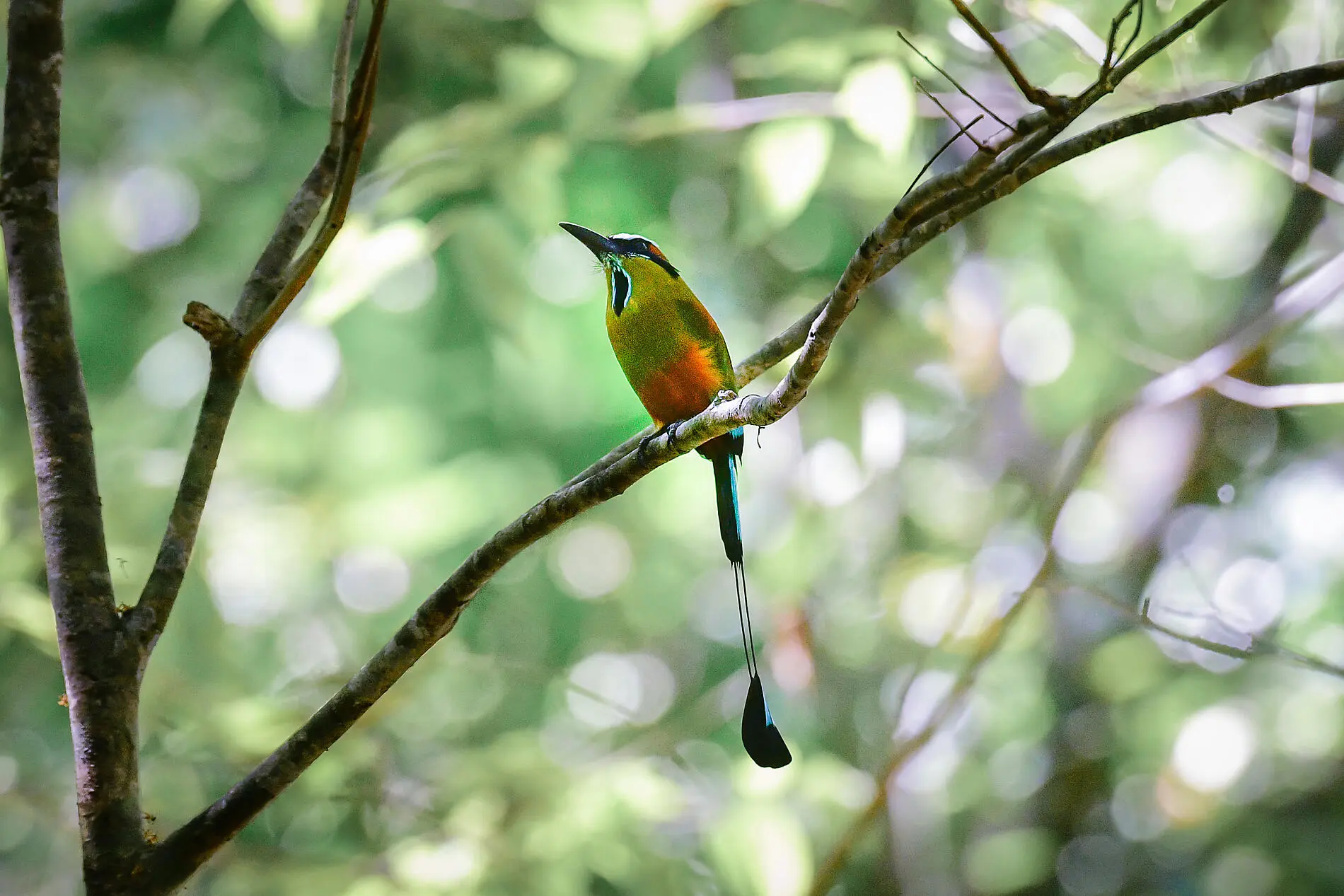 Secrets d'Amérique centrale 2