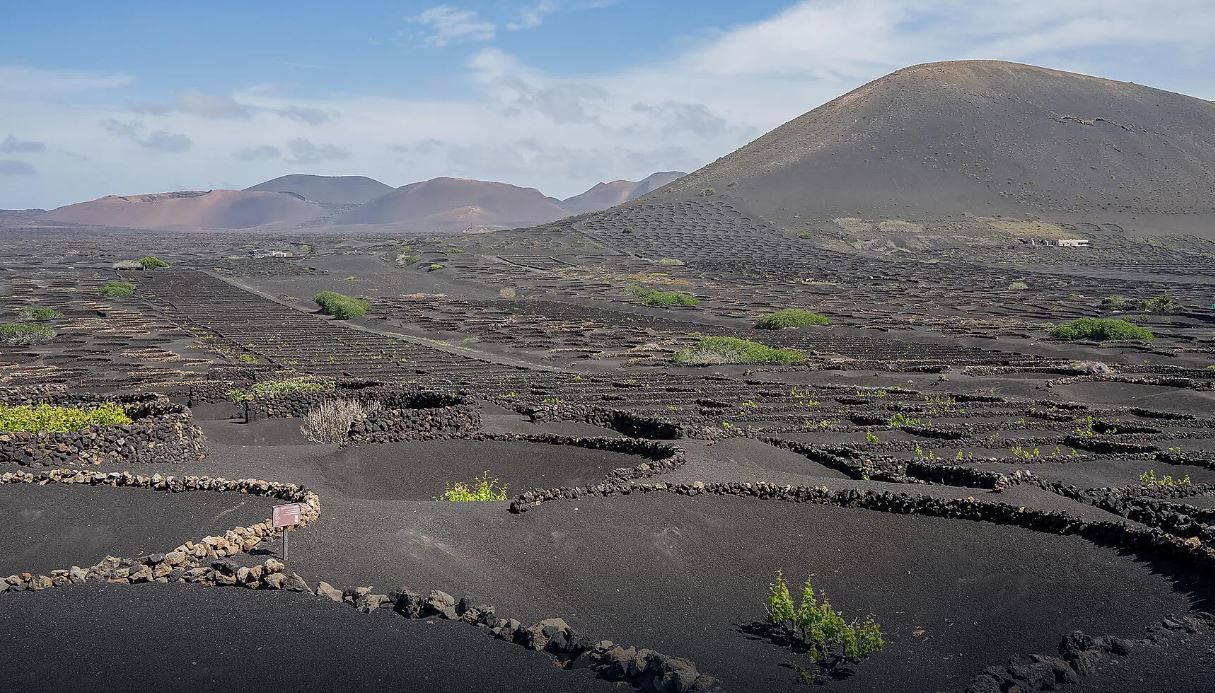 Splendeurs des Canaries et authentique Madère