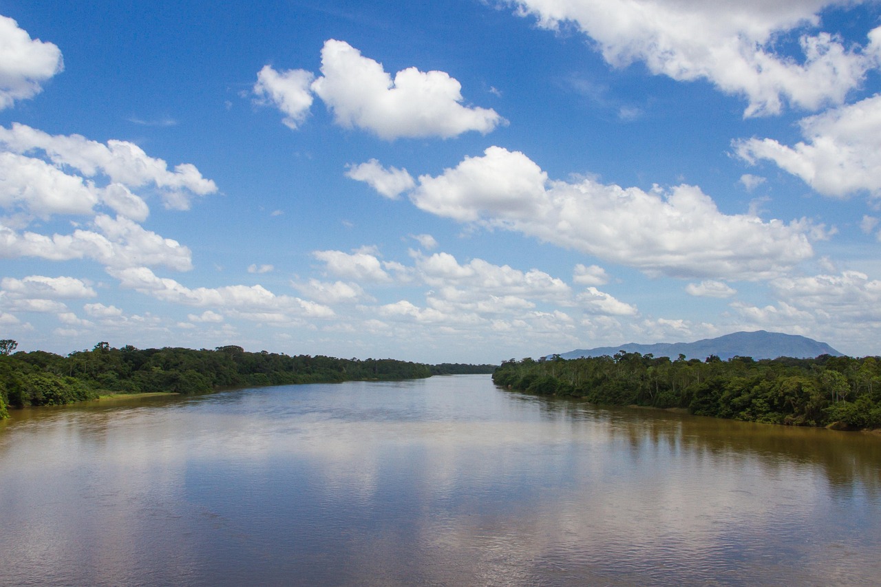 Croisière en forêt Equatoriale