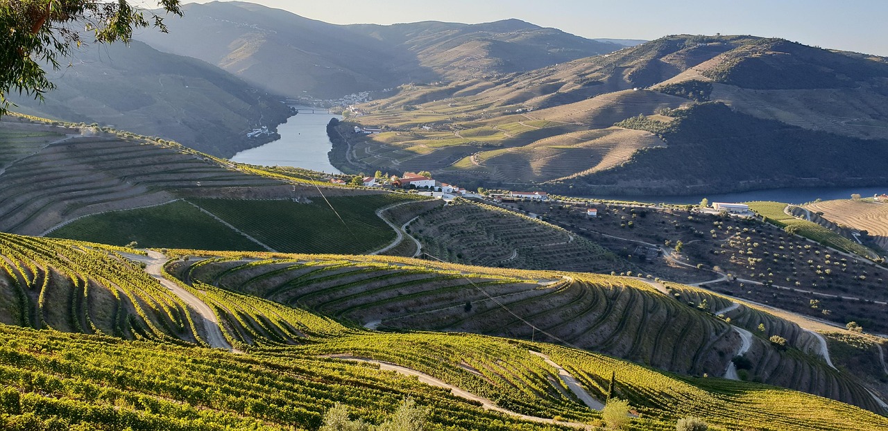 Croisière L'Or du Douro