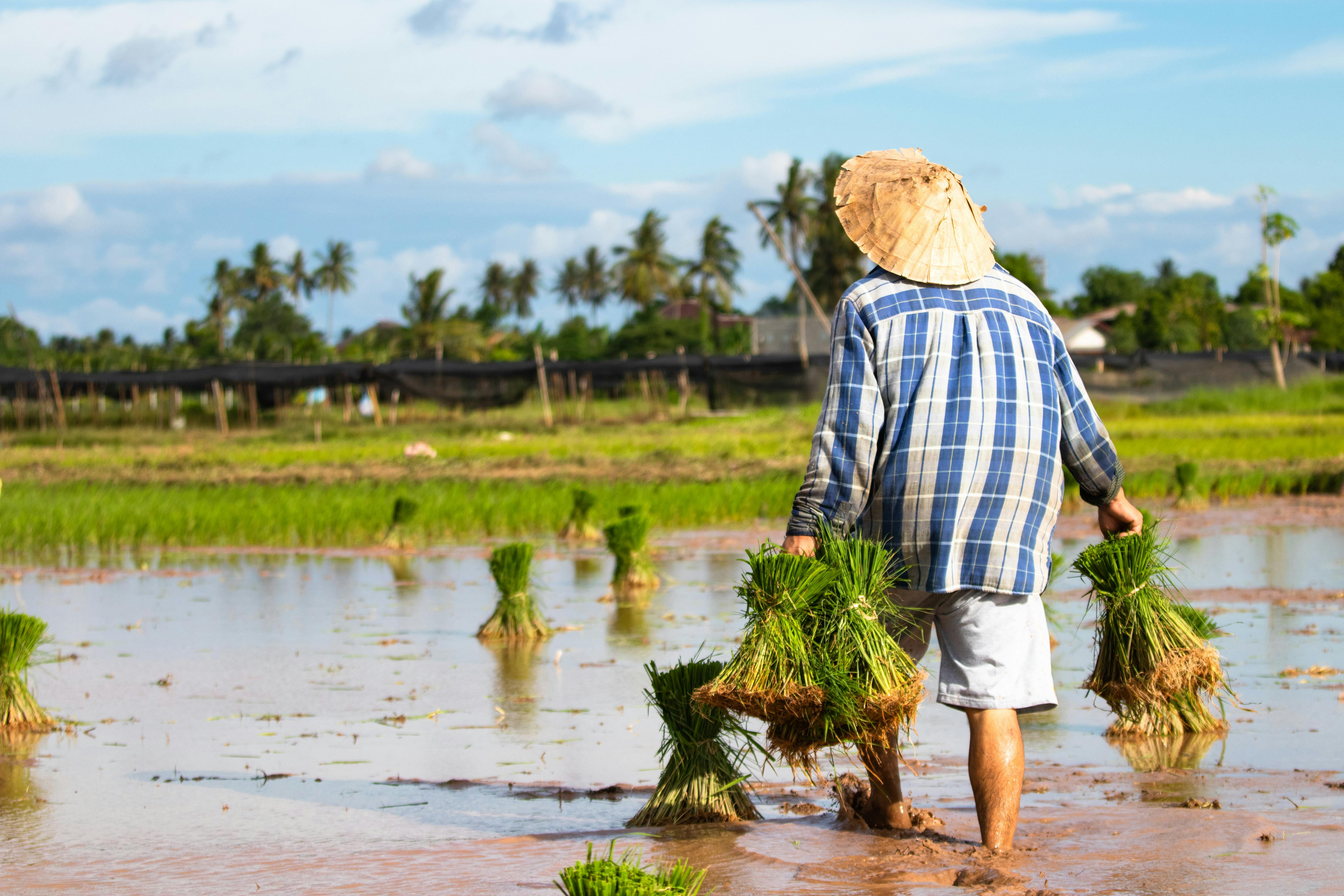 Croisière les Splendeurs du Laos, de Chiang Rai à Vientiane