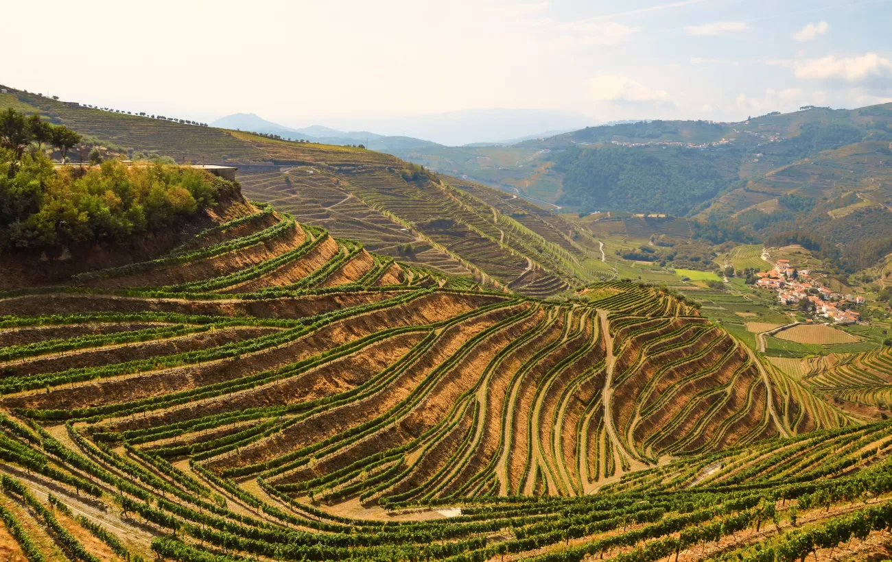 Croisière Musicale au fil du Douro