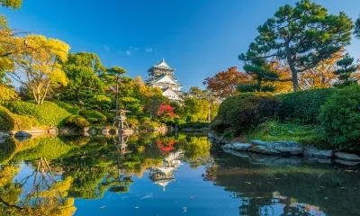 Croisière au fil du Japon : entre héritage impérial et modernité