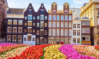 Croisière florale : escapade hollandaise et flânerie rhénane avec Alain Baraton