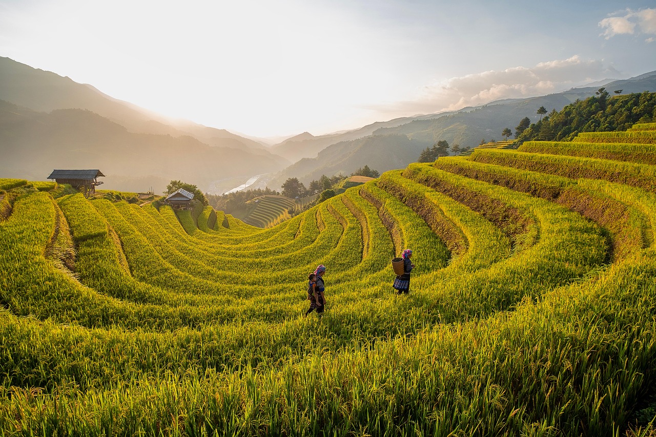 Sur les traces enchanteresses des Incas