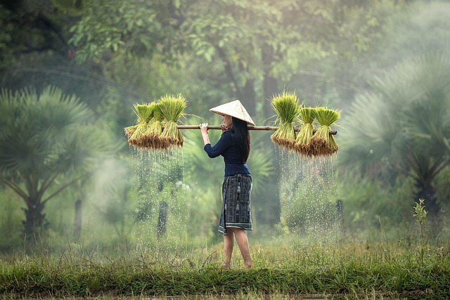 Joyaux du Laos et Trésors de Thaïlande