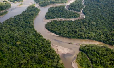 L’Amazonie révélée : aventure le long de l’Amazone et de ses affluents