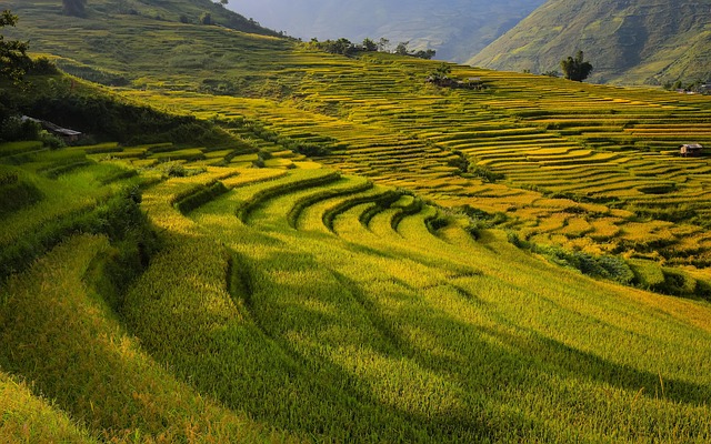 Le Fleuve Rouge : trésors et beautés du nord du Vietnam