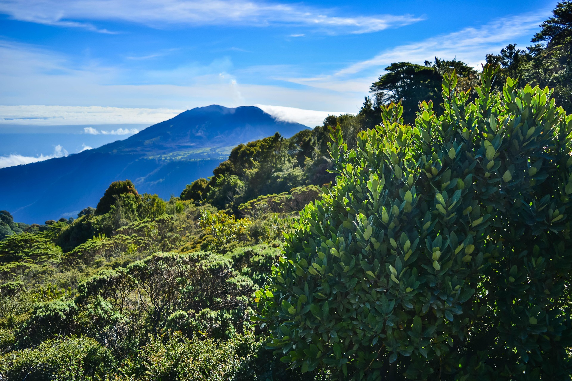 Panama et Costa Rica : couleurs et splendeurs tropicales