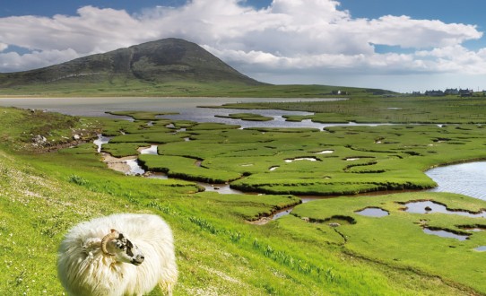 L'Écosse, Terre de Légendes