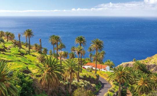 Les îles de l’éternel printemps