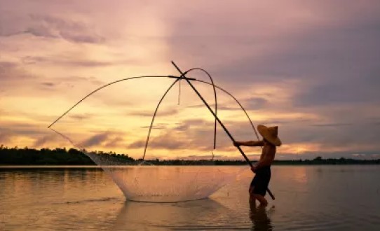 Kerala, au fil des eaux et des traditions