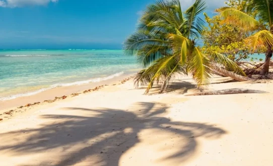 Plages de rêve et carnaval 2028
